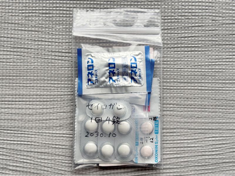 セイロガン ロキソニン 酔い止めなどをまとめた携帯用薬セット 表側 中身が見えるジッパー袋収納